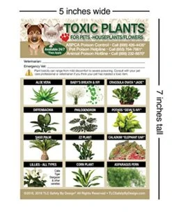 TLC Safety By Design Enhanced Toxic Plants Flowers TRADEMARKED Poison For Pets Dogs Cats Emergency Home Alone 5” X 7” Veterinarian Approved Refrigerator Safety Magnet (Qty. 1 From TLC)