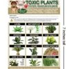 TLC Safety By Design Enhanced Toxic Plants Flowers TRADEMARKED Poison For Pets Dogs Cats Emergency Home Alone 5” X 7” Veterinarian Approved Refrigerator Safety Magnet (Qty. 1) -Zoo Shop 51C5S9BhMRL