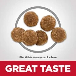 Hill's Science Diet Adult No Corn, Wheat Or Soy Dry Cat Food, Chicken Recipe, 3.5 Lb. Bag -Zoo Shop 51C9Oqw621L