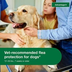 Advantage II Large Dog Vet-Recommended Flea Treatment & Prevention | Dogs 21-55 Lbs. | 4-Month Supply -Zoo Shop 51CDRjKceKL