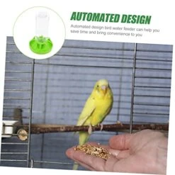 Birdseed 8 Pcs Proof Plastic Bunny Cup Parrot Lovebirds Drinking Birds Fountain Dog Farm Food Wild Bottle Bowl Dispenser For Garden Waterer Cat Parrots Feeder Tray Squirrel- -Zoo Shop 51CO49QBiLL