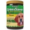 NaturVet GrassSaver| Wafers For Dogs – Help Keep Grass Green, Rid Your Lawn Of Yellow Patches Caused By Dog Urine| No More Yellow Spots| DL-Methionine & Enzymes – 300 Ct -Zoo Shop 51CUrXHSyIL
