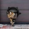 GENERIC CATDGET Cat Door, Exterior Cat Door, Security & Privacy, Pet Door, Exterior Or Interior Door, 4-Way Locking, Cat Design, No-Flap, Easy Install (Black) -Zoo Shop 51CjXDnD1IL
