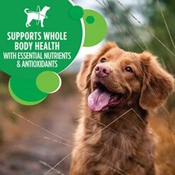 IAMS Adult Minichunks Small Kibble High Protein Dry Dog Food With Real Chicken, 30 Lb. Bag -Zoo Shop 51D5tsLjPjL