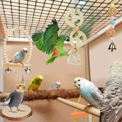 JYDQM 8 Pcs/Set Bird Parrot Swing Toys Chewing Standing Hanging Perch Hammock Bird Cage For Budgerigar Parakeet Conure 10 JYDQM 8 Pcs/Set Bird Parrot Swing Toys Chewing Standing Hanging Perch Hammock Bird Cage For Budgerigar Parakeet Conure -Zoo Shop 51DBpSO0o0L