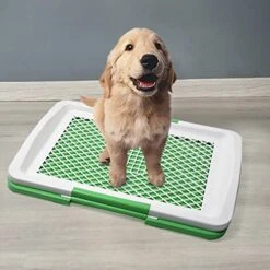 SAZAO Grass Pad For Dogs, Puppy Dog Pee Grass Pad With Tray, Dog Training Pee Pad, Washable Artificial Dog Potty Grass For Indoor Home 10 SAZAO Grass Pad For Dogs, Puppy Dog Pee Grass Pad With Tray, Dog Training Pee Pad, Washable Artificial Dog Potty Grass For Indoor Home -Zoo Shop 51DEu9KY0AL