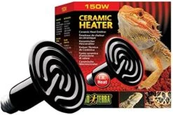 Exo Terra Exo Terra Ceramic Heater, 100 W -Zoo Shop 51Dg81lnhSL. AC