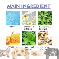 GENERIC 2 Pcs PetClean Teeth Cleaning Spray For Dogs & Cats,2023 New Pet Oral Spray Clean Teeth,Pet Clean Teeth Cleaning Spray For Dogs & Cats,pet Breath Freshener Spray Care Cleaner,pet Bad Breath Treatment -Zoo Shop 51DpdRSi8uL