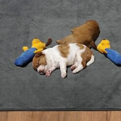 Washable Dog Pee Pads- 31x36 2Pack Reusable Whelping Pads, Absorb Dog Mats Non-Slip Puppy Training Pads For Whelping, Potty, Training, Playpen, Crate -Zoo Shop 51E6YlNUxLL