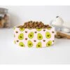 GENERIC Avocado Pattern Pet Bowl, Cat Food Bowls, Cute Dog Bowl, Custom Ceramic Pet Bowls Available In Two Sizes -Zoo Shop 51E6vO87QRL