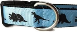 Dinosaur Dog Collar, Caninedesign, Green, T-Rex, Stegosaurus, Triceratops, 1 Inch Wide, Adjustable, Nylon, Medium And Large (Medium 13-19") -Zoo Shop 51EAy3JfxLL. AC