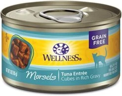 Wellness Complete Health Natural Grain Free Wet Canned Cat Food, Sliced Salmon Entree, 3-Ounce Can (Pack Of 24) -Zoo Shop 51EUvz1FduL. AC