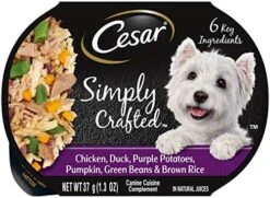 CESAR Simply Crafted Adult Wet Dog Food Meal Topper, Chicken, Carrots & Green Beans, (10) 1.3 Oz. Tubs -Zoo Shop 51EjMtPcD5L. AC 1
