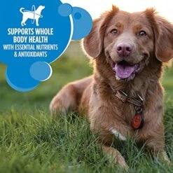 IAMS Adult Healthy Weight Control Dry Dog Food With Real Chicken, 15 Lb. Bag 12 IAMS Adult Healthy Weight Control Dry Dog Food With Real Chicken, 15 Lb. Bag -Zoo Shop 51EqB487JhS 1