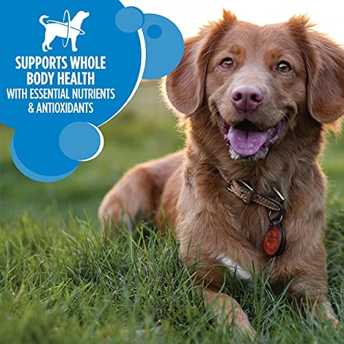 IAMS Adult Healthy Weight Control Dry Dog Food With Real Chicken, 15 Lb. Bag 5 IAMS Adult Healthy Weight Control Dry Dog Food With Real Chicken, 15 Lb. Bag - Image 3