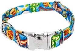 Country Brook Petz - Premium Caribbean Sunset Dog Collar - Summer Breeze Collection With 5 Sunny Designs (1 Inch, Large) -Zoo Shop 51Es4gimQzL. AC