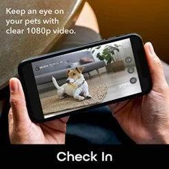 Geeni 7L Automatic Cat Feeders With Smart Home Pet Camera, Timer & Voice, Automatic Dog Feeder For Alexa & Google -Zoo Shop 51Et6UjjfjL