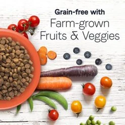 Canidae Under The Sun Premium Dry Dog Food For Puppies, Adults And Senior Dogs, Chicken Recipe, 40 Pounds, Grain Free 10 Canidae Under The Sun Premium Dry Dog Food For Puppies, Adults And Senior Dogs, Chicken Recipe, 40 Pounds, Grain Free -Zoo Shop 51F2StLzJzL