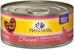 Wellness Complete Health Natural Grain Free Wet Canned Cat Food, Sliced Salmon Entree, 3-Ounce Can (Pack Of 24) -Zoo Shop 51FBBBYvRIL. AC