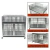 Confote Double-Deck Heavy Duty Stainless Steel Dog Cage Kennel Crate With Divider, 4 Lockable Wheels, Double Doors And Removable Tray -Zoo Shop 51FGjWwMOML