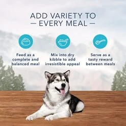 Blue Buffalo Wilderness High Protein Natural Adult Wet Dog Food Plus Wholesome Grains, Beef & Chicken Grill 12.5-oz Cans (Pack Of 12) 10 Blue Buffalo Wilderness High Protein Natural Adult Wet Dog Food Plus Wholesome Grains, Beef & Chicken Grill 12.5-oz Cans (Pack Of 12) -Zoo Shop 51FHVxNloxL 1