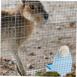 EVANEM Rabbit Bowl Bunny Feeder Rabbit Water Bowl Bird Cage Feeder Bird Feeding Dish Cups Food And Water Bowl For Rabbit Cage Feeding Bowl Rabbit Cage Food Bowl Feeding Bowl For Rabbit Pp -Zoo Shop 51FIPyG78BL 1