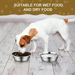 Mimorou 6 Pcs Stainless Steel Dog Bowls 9.4 Inches Replacement Basic Dog Bowls Thickened Metal Dog Bowls Metal Food Water Bowls For Medium Large Sized Dogs, Dishwasher Safe, Silver -Zoo Shop 51FNwqWAhtL