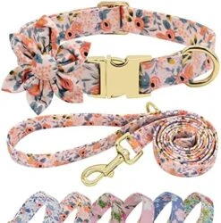 Beirui Cute Girl Dog Collar And Leash Set For Female Dogs- Floral Dog Collar With Flower For Small Medium Large Dogs Puppy, M:Neck 13-21", Leash 5FT, Purple-1 -Zoo Shop 51FV441utWL. AC 1