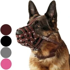 CollarDirect Dog Muzzle German Shepherd Dalmatian Doberman Setter Leather Basket Medium Large Breeds Black Brown (M, Chestnut Brown) -Zoo Shop 51FVU6XXPUL. AC