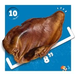 Jack&Pup Whole Pig Ears For Dogs - Extra Thick Large Pigs Ears - Premium Dog Pig Ear Treats - Natural Dog Pork Chews; Excellent Rawhide Alternative (10 Pack) -Zoo Shop 51FYDt0naLL