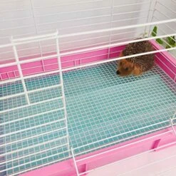 Pet Training Dog Pee Pads 20Pcs 30x45cm Pee Pads Deodorant Diapers Pet Training Wee Pads Pet Supplies Size L Random Color 16 Pet Training Dog Pee Pads 20Pcs 30x45cm Pee Pads Deodorant Diapers Pet Training Wee Pads Pet Supplies Size L Random Color -Zoo Shop 51Fal3nagQL