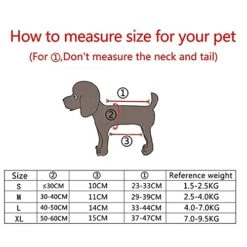 AYENCI Pet Backpack, Mesh Dog Carriers Bag Outdoor Travel Backpack Breathable Portable Pet Dog Carrier For Dogs Cats (Size : M 32x20CM) 15 AYENCI Pet Backpack, Mesh Dog Carriers Bag Outdoor Travel Backpack Breathable Portable Pet Dog Carrier For Dogs Cats (Size : M 32x20CM) -Zoo Shop 51FeI1EMqTL