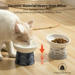 Ceramic Raised Cat Bowls, Elevated Tilted Cat Food And Water Bowls Set, Porcelain Stress Free Pet Feeder Bowl Dish For Cats And Small Dogs, Dishwasher And Microwave Safe, Blue & Black, Set Of 2 -Zoo Shop 51FiWUlbTsL