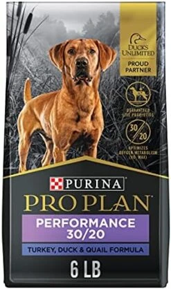 Purina Pro Plan Sport Performance 30/20 Turkey, Duck & Quail Formula Dry Dog Food - 6 Lb. Bag -Zoo Shop 51FlGfxVHIL. AC