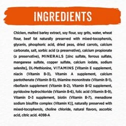 Purina Beneful Dry Dog Food, Simple Goodness With Farm Raised Chicken - 32 Ct. Box -Zoo Shop 51FoAHfQhzL