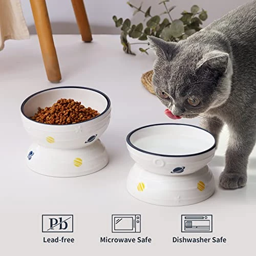 Hasense Tilted Cat Bowl Anti Vomiting, Double Raised Cat Bowls For Food And Water, Elevated Ceramic Small Dog Feeder, Protect Pet's Spine, Dishwasher Safe, Porcelain Slanted Dishes, White Set Of 2 6 Hasense Tilted Cat Bowl Anti Vomiting, Double Raised Cat Bowls For Food And Water, Elevated Ceramic Small Dog Feeder, Protect Pet's Spine, Dishwasher Safe, Porcelain Slanted Dishes, White Set Of 2 - Image 4