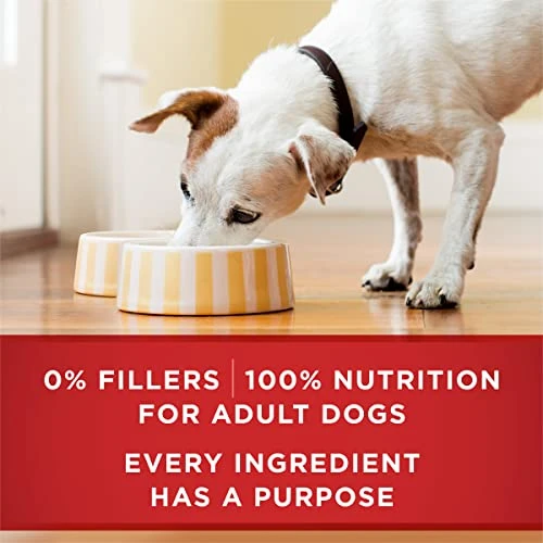 Purina ONE Tender Cuts In Wet Dog Food Gravy Chicken And Brown Rice Entree - (12) 13 Oz. Cans 7 Purina ONE Tender Cuts In Wet Dog Food Gravy Chicken And Brown Rice Entree - (12) 13 Oz. Cans - Image 5
