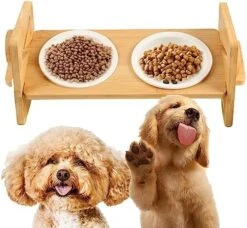 Elevated Cat Bowls For Food And Wate, 15° Tilted Raised Stainless Steel Pet Bowl For Puppy And Cats, Adjustable Height Dog Food Feeding Dishes Water Bowl Stand B -Zoo Shop 51GJ6g9mgjL. AC