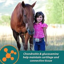 Farnam Next Level Performance Joint Pellets 3.75 Pounds 30 Day -Zoo Shop 51GOVarMGdS