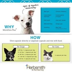 Herbsmith Microflora Plus – Dog Digestion Aid –Probiotics And Digestive Enzymes For Dogs – Prebiotic For Dogs – 30ct Capsules -Zoo Shop 51GQUa188NL