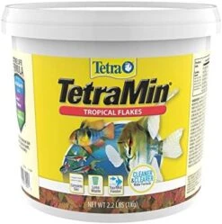 TetraMin Nutritionally Balanced Tropical Flake Food For Tropical Fish 26 TetraMin Nutritionally Balanced Tropical Flake Food For Tropical Fish -Zoo Shop 51GTa7aRslL. AC
