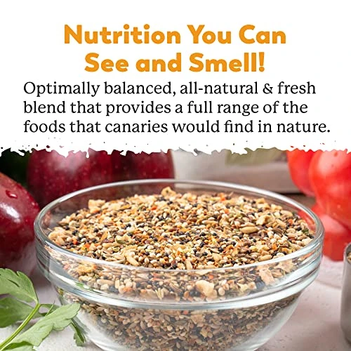 Dr. Harvey's Incredible Canary Blend, Natural Food For Canaries (4 Pounds) 6 Dr. Harvey's Incredible Canary Blend, Natural Food For Canaries (4 Pounds) - Image 4