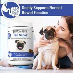 Vet Classics No Scoot Dog Supplements For Healthy Anal Gland Function – Support Normal Bowel Functions, Anal Glands – Increases Daily Fiber Intake For Dogs – 120 Soft Chews -Zoo Shop 51Ga15bTGOL