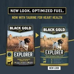 Black Gold Explorer Dry Dog Food For Adult Dogs, Original Performance 26/18 Formula, 50 Lb Bag -Zoo Shop 51Gg3oaRhPL