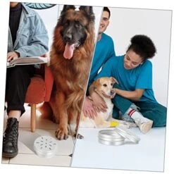 10pcs Tools Vessel Tools Threading Tool Dog Scent Training Kit Dog Scent Work Container Nose Work Dog Training Kit Dogs Scent Training Tool Dog Training Aroma Case Suite -Zoo Shop 51GlsmIfZxL