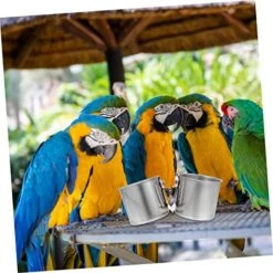 EVANEM 2pcs Feeder Tray Bird Feeder Outdoor Bird Feeder Toy Parrot Hamster Feeding Cups Ferret Water Bottle Water Bird Cup Parrot Feeder Birds Food Cup Pet Parrot Feeder To Feed Xuan Feng -Zoo Shop 51GqWjaR77L