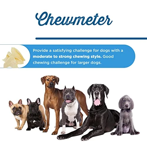 Best Bully Sticks All-Natural Thick-Cut Cow Ears For Small, Medium And Large Dogs - 100% Natural Free-Range Grass-Fed Beef Single Ingredient High Protein, Highly Digestible Dog Chew Treats - 12 Pack 6 Best Bully Sticks All-Natural Thick-Cut Cow Ears For Small, Medium And Large Dogs - 100% Natural Free-Range Grass-Fed Beef Single Ingredient High Protein, Highly Digestible Dog Chew Treats - 12 Pack - Image 4