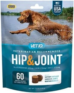 VetIQ Hip & Joint Supplement For Dogs, Anti Inflammatory Joint Support, Glucosamine, MSM, And Krill, Chicken Flavored Soft Chews, 180 Count -Zoo Shop 51HD2BrPxtL. AC