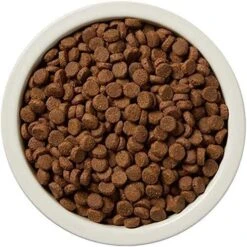 Amazon Brand - Wag Dry Dog Food Salmon & Sweet Potato, Grain Free 4 Lb Bag -Zoo Shop 51HEK6SuYGL