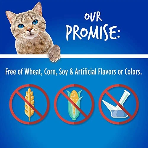 Fruitables Cat Treats – Crunchy Treats For Cats – Healthy Low Calorie Treats Packed With Protein – Free Of Wheat, Corn And Soy – Made With Real Chicken With Blueberry – 30 Ounces 5 Fruitables Cat Treats – Crunchy Treats For Cats – Healthy Low Calorie Treats Packed With Protein – Free Of Wheat, Corn And Soy – Made With Real Chicken With Blueberry – 30 Ounces - Image 3